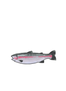 有限会社忍沢養殖場 甲斐あかね鱒 山梨県 富士川町 富士の介 ヤマメ イワナ サツキマス