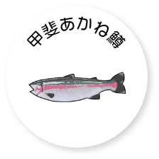 有限会社忍沢養殖場 甲斐あかね鱒 山梨県 富士川町 富士の介 ヤマメ イワナ サツキマス