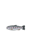 有限会社忍沢養殖場 甲斐あかね鱒 山梨県 富士川町 富士の介 ヤマメ イワナ サツキマス