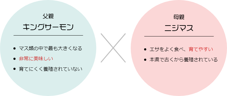 有限会社忍沢養殖場 甲斐あかね鱒 山梨県 富士川町 富士の介 ヤマメ イワナ サツキマス