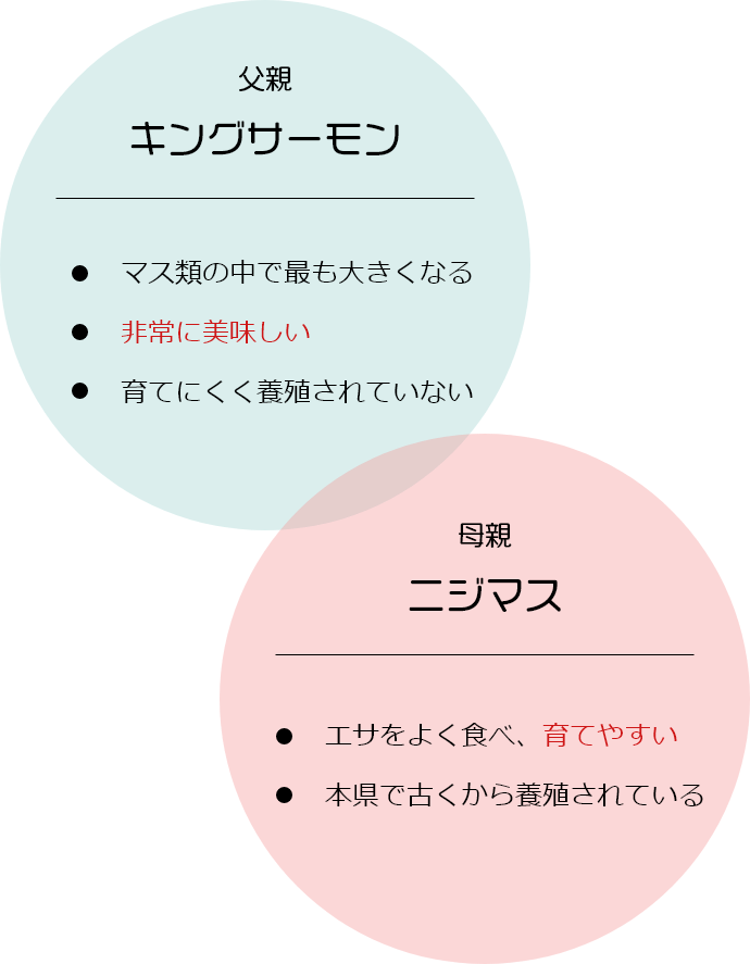 有限会社忍沢養殖場 甲斐あかね鱒 山梨県 富士川町 富士の介 ヤマメ イワナ サツキマス